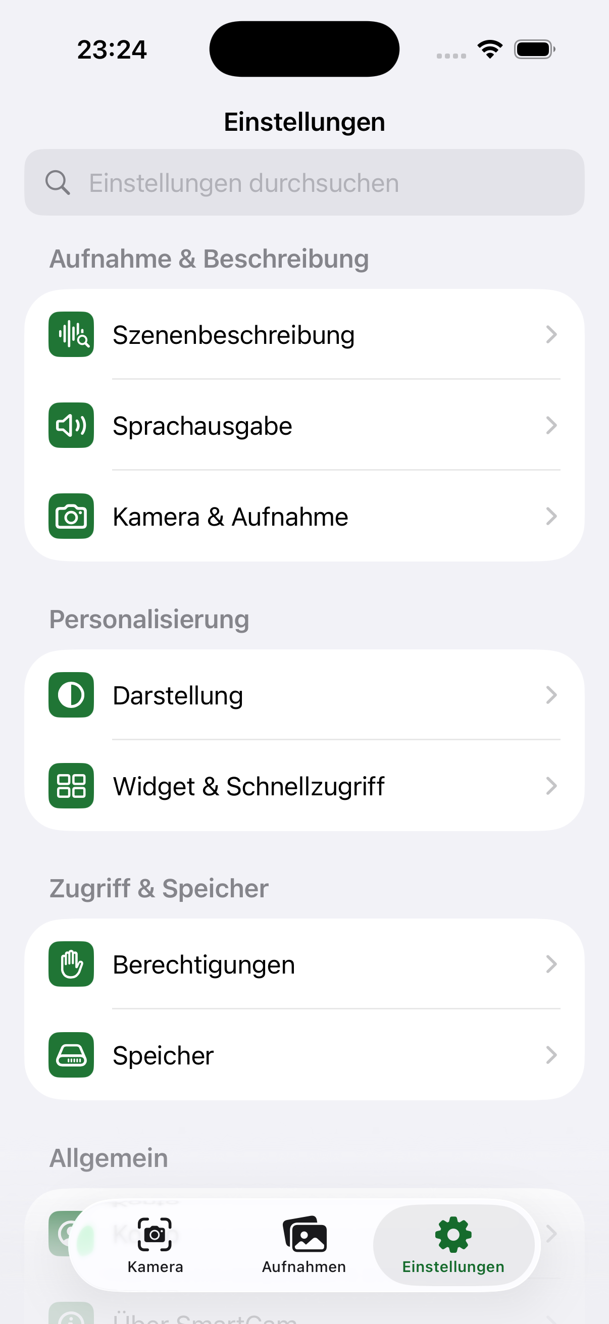 Aktuelle Einstellungen mit Szenenbeschreibung, Sprachausgabe, Kamera, Darstellung und Speicher